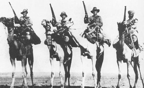 Camel corps